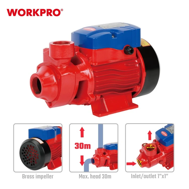 WP421000-5
