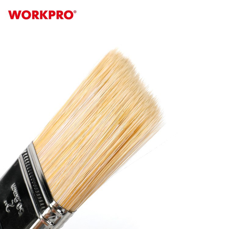 WP204300-5